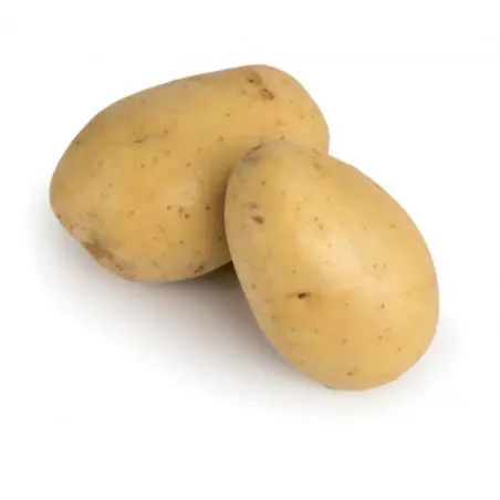 Pomme de terre (Monalisa) au KG