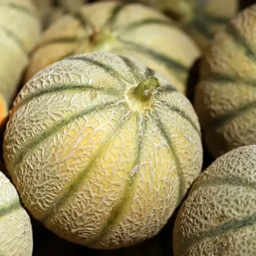 melon